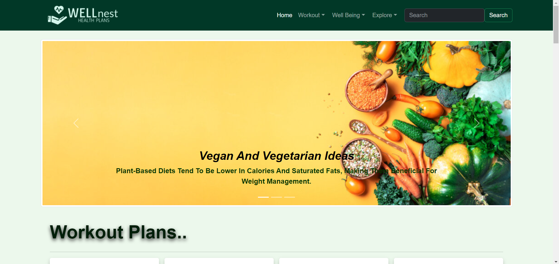 Wellnest Health Care Website